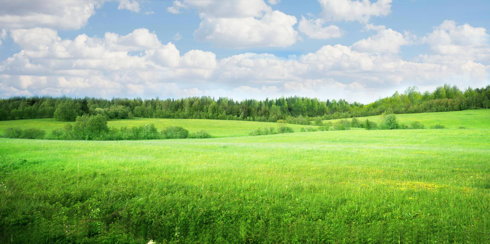 Group Background Image